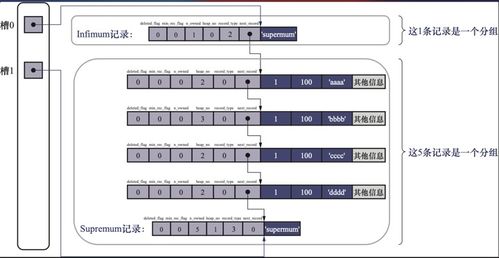 MySQL是怎樣運行的 從根兒上理解MySQL學習筆記（一）——互聯(lián)網(wǎng)域名根服務器運行的啟示